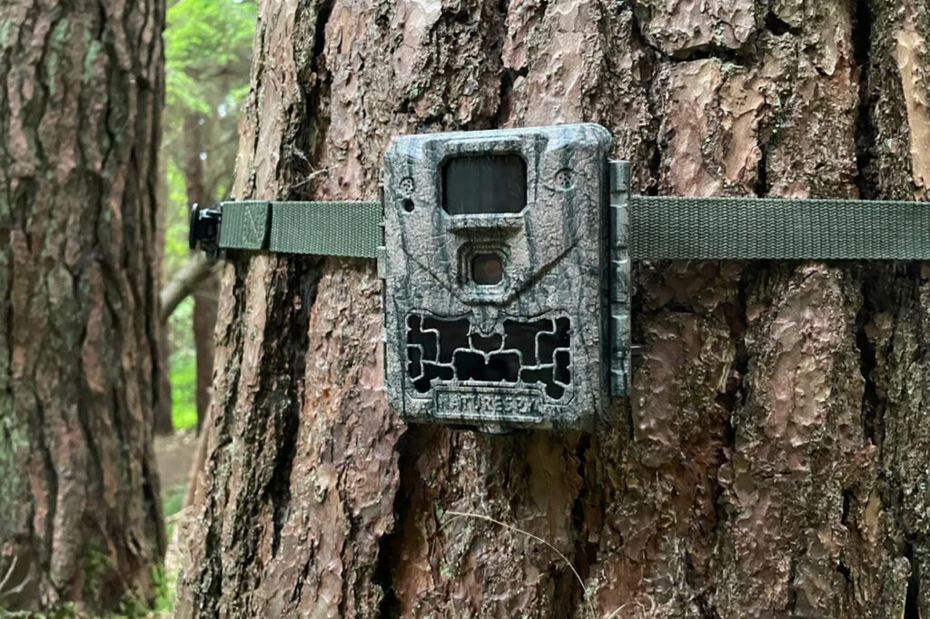Trail Camera Strategies - Tips for Retailers to Boost Sales